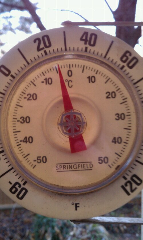 This. Is too cold. This. Is too cold.